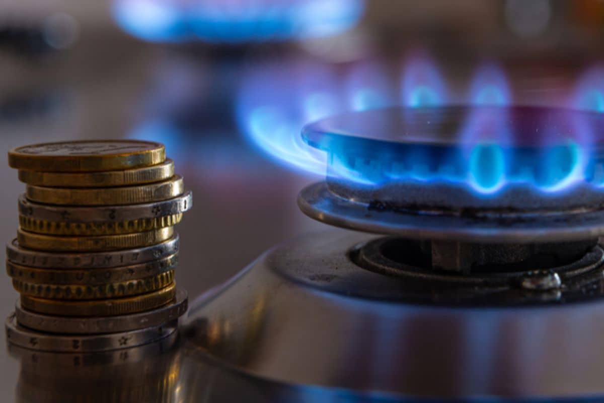 Crisi gas, Italia da record nel risparmio di energia ecco perché - 290123 nursenews.it