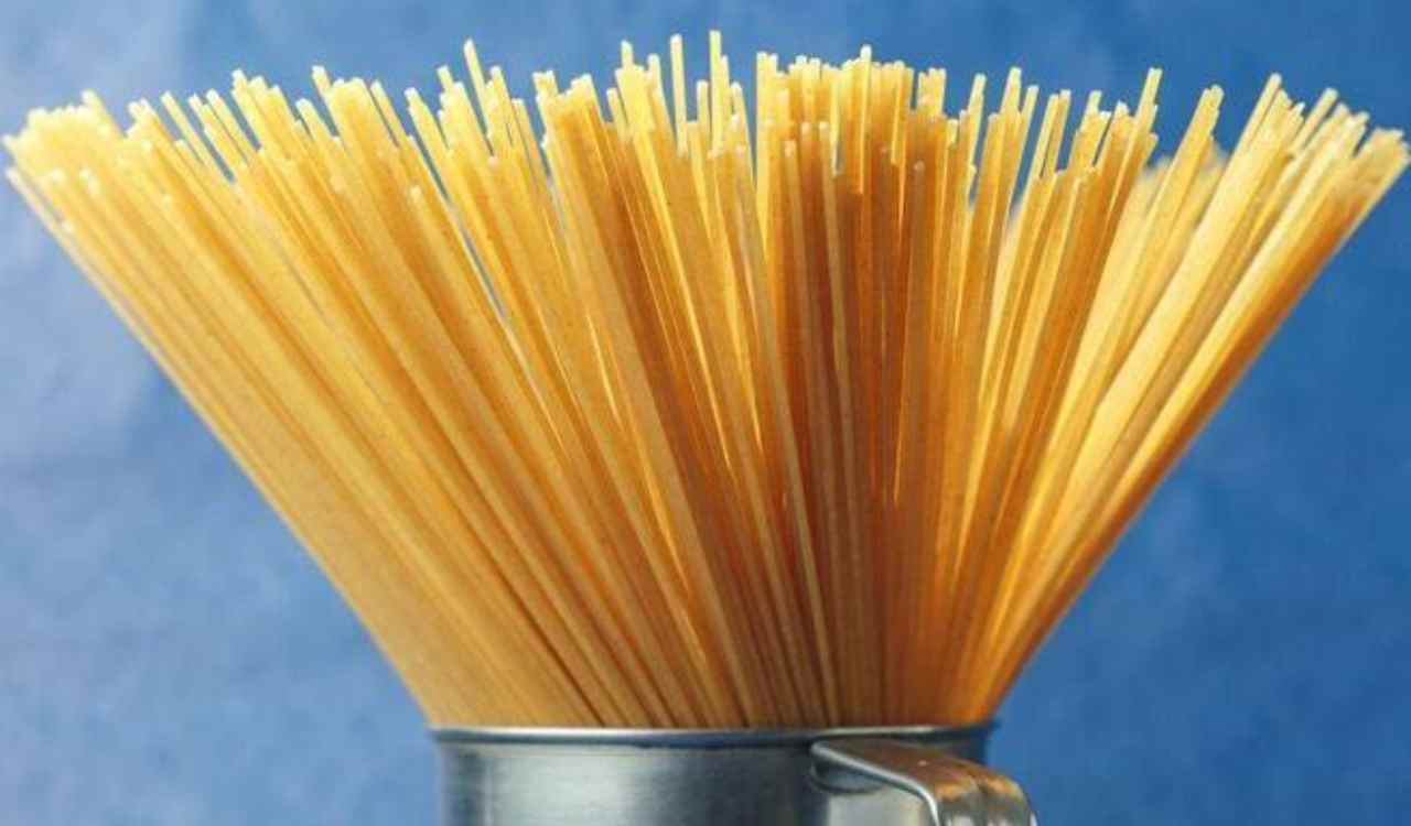 pasta-nursenews.it