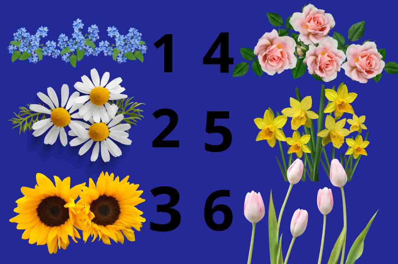 test dei fiori