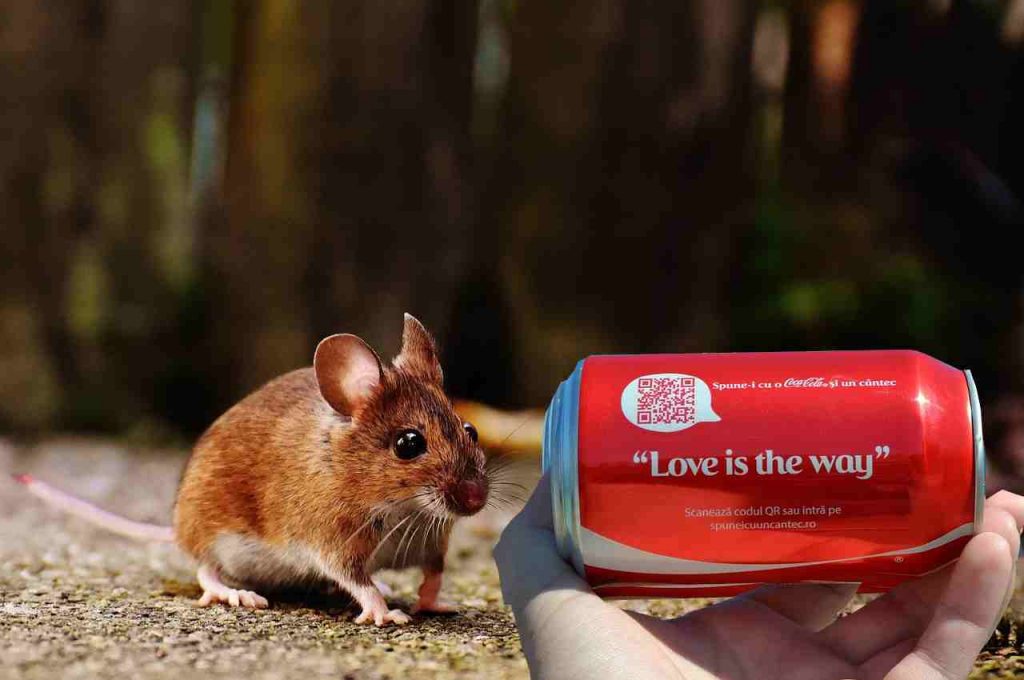 Nutrono topi con Coca-Cola e Pepsi: i ricercatori fanno una scoperta