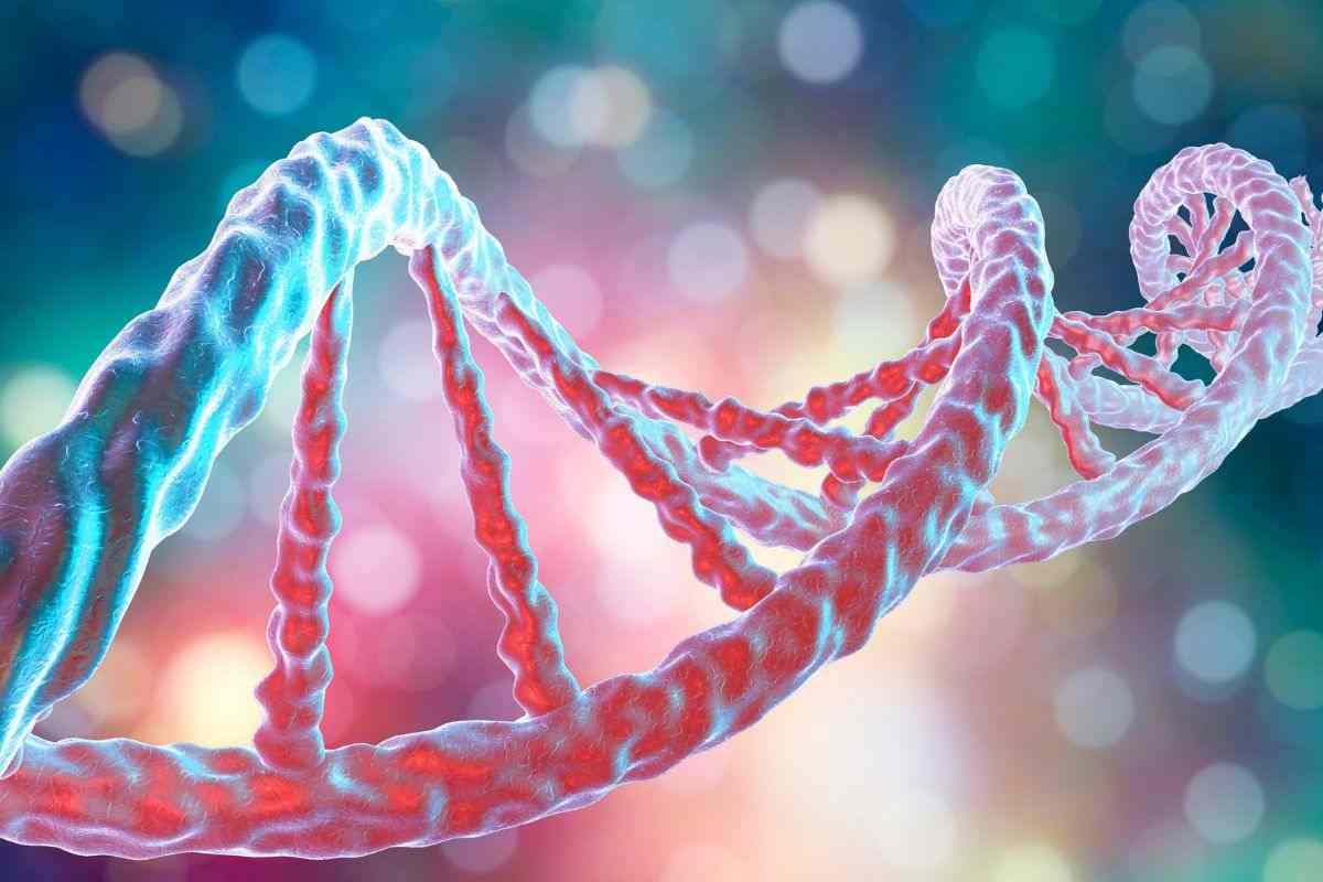 DNA pruo: come conservarlo