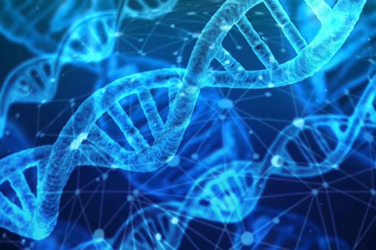 Immortali: modificando il DNA
