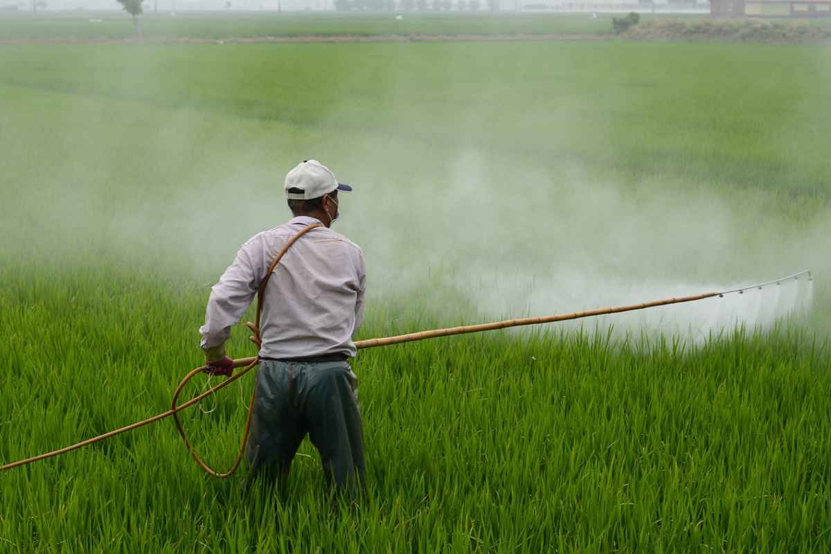 Pesticidi nell'acqua del rubinetto 