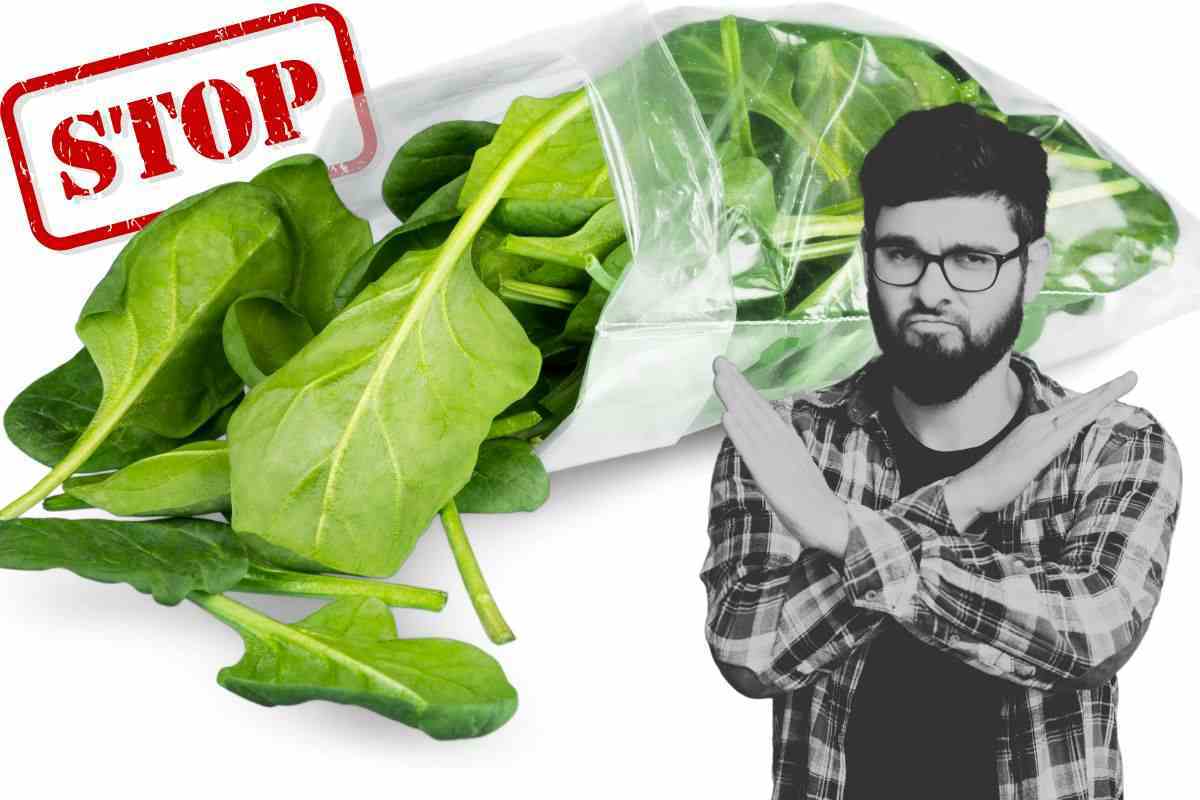 UE vieta l'insalata in busta