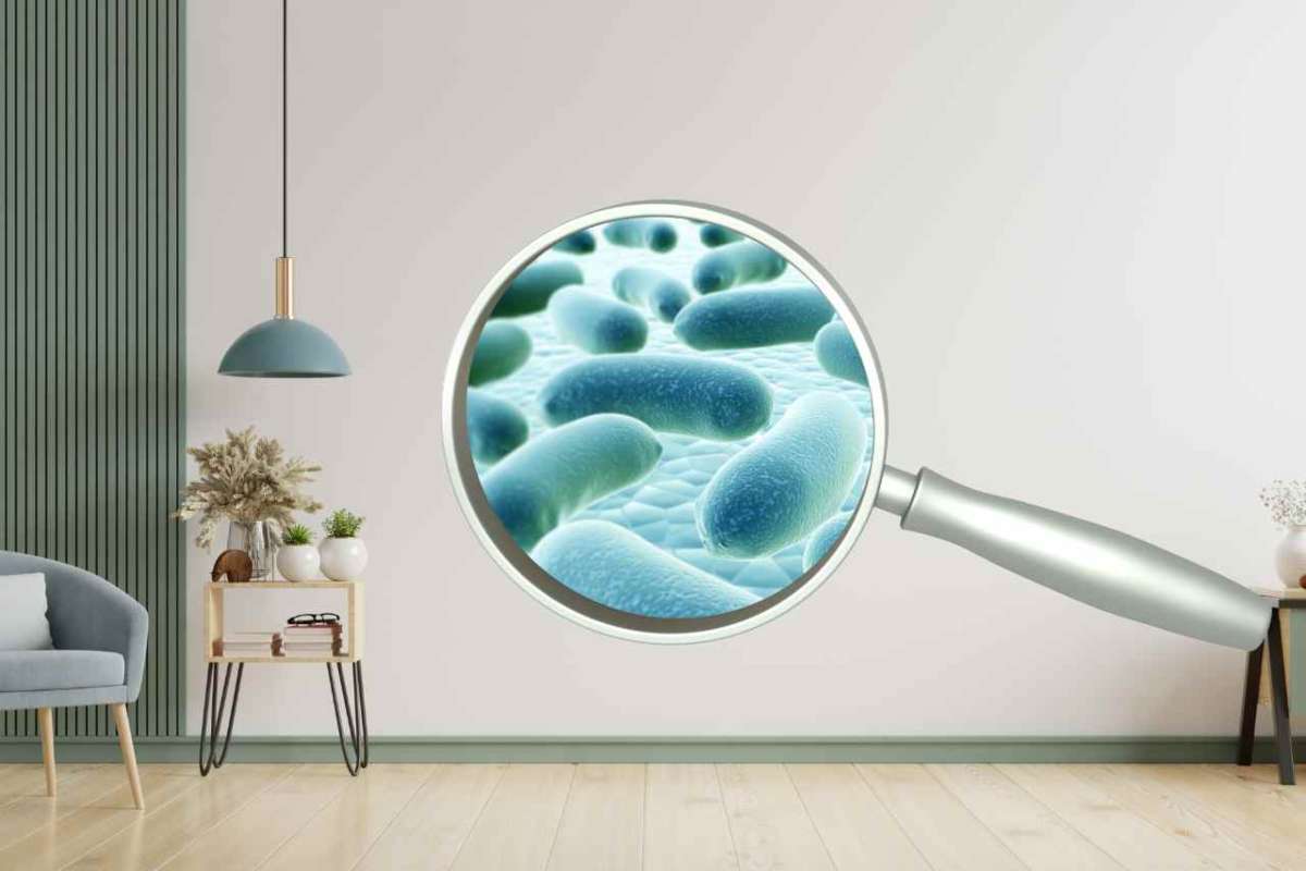 I batteri in casa sono ovunque