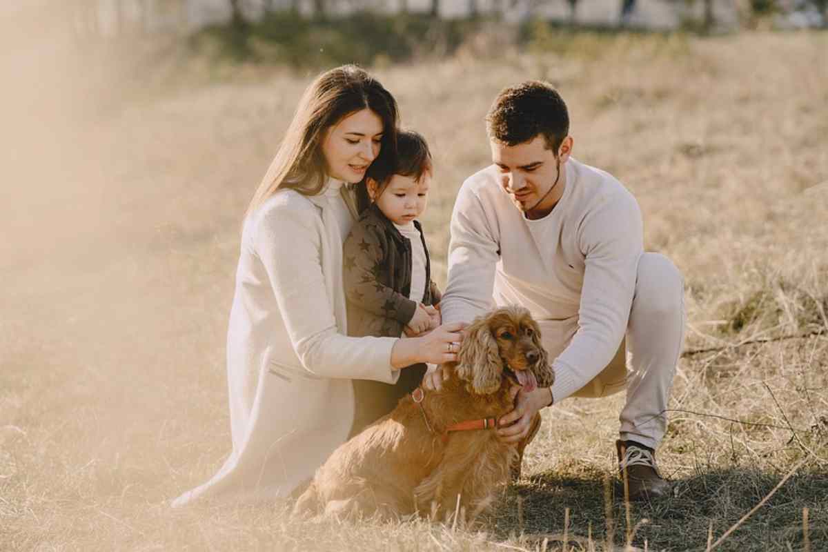 come capire se il cane ti ama