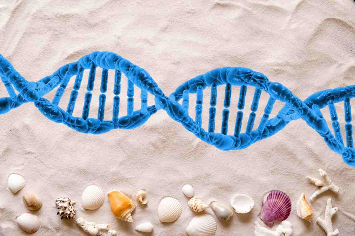 DNA umano sabbia acqua