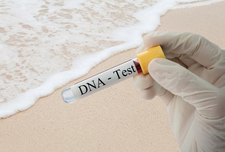 tracce DNA umano ambiente