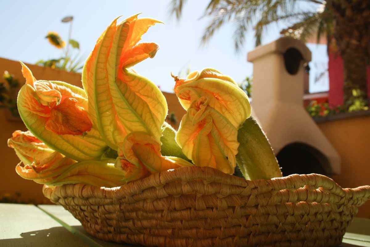 Fiori di zucca: come pulirli