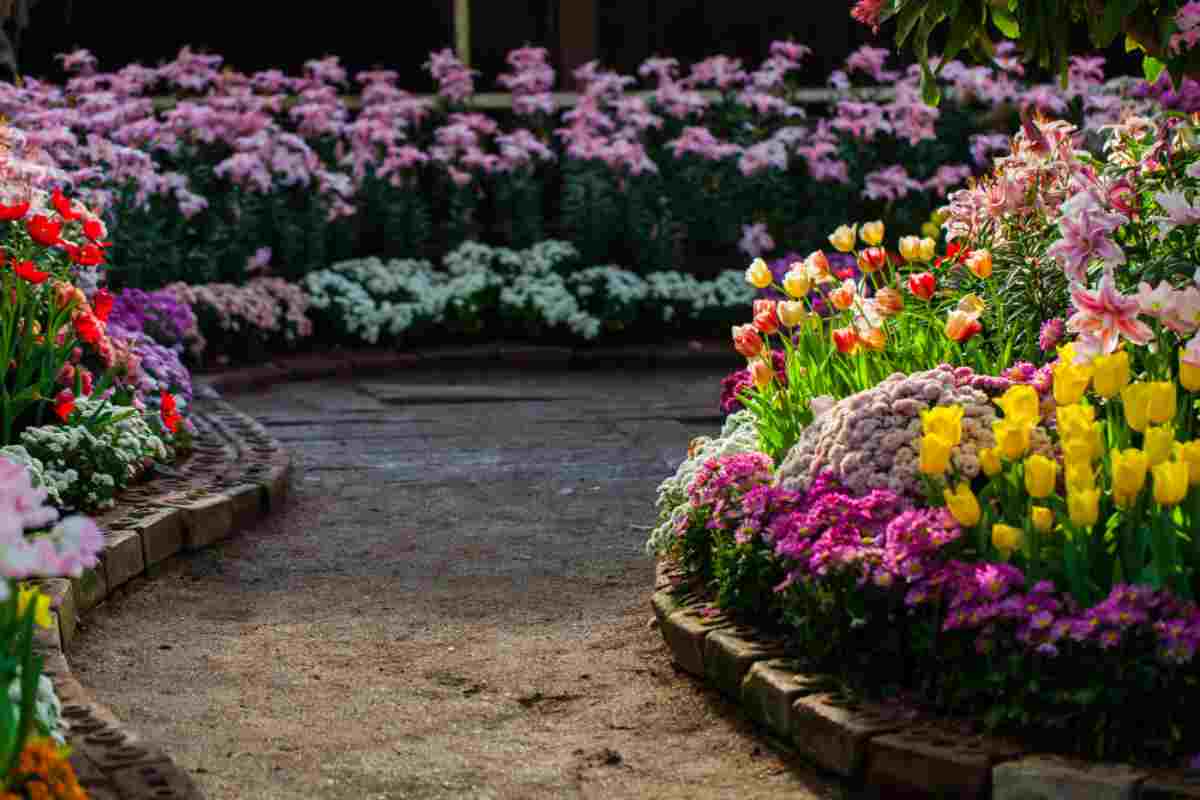 Respingere i pidocchi dal giardino: usa queste piante