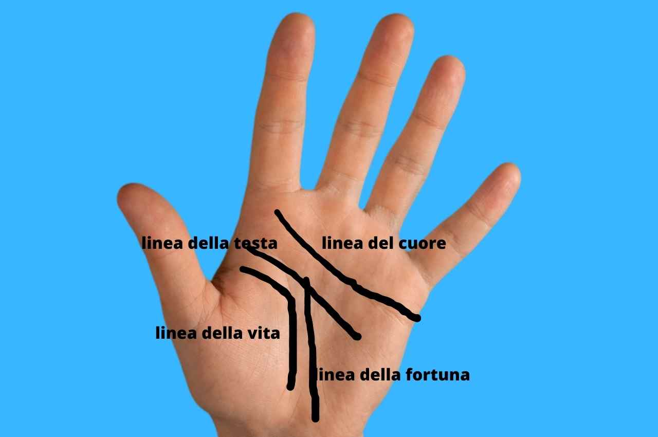 Linee della mano