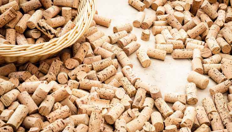 Grattugiare i tappi di sughero è utile per le piante e per creare degli oggetti in cucina