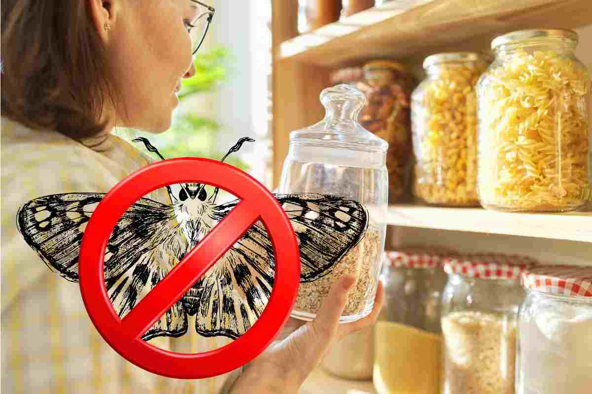 Stop farfalline nella dispensa