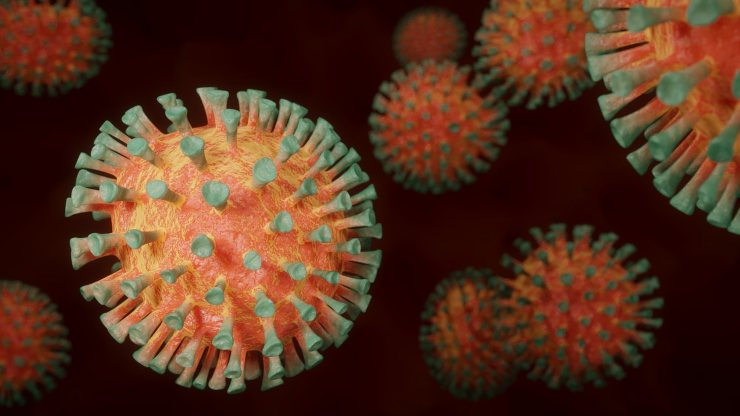 Nuovo virus killer in Africa