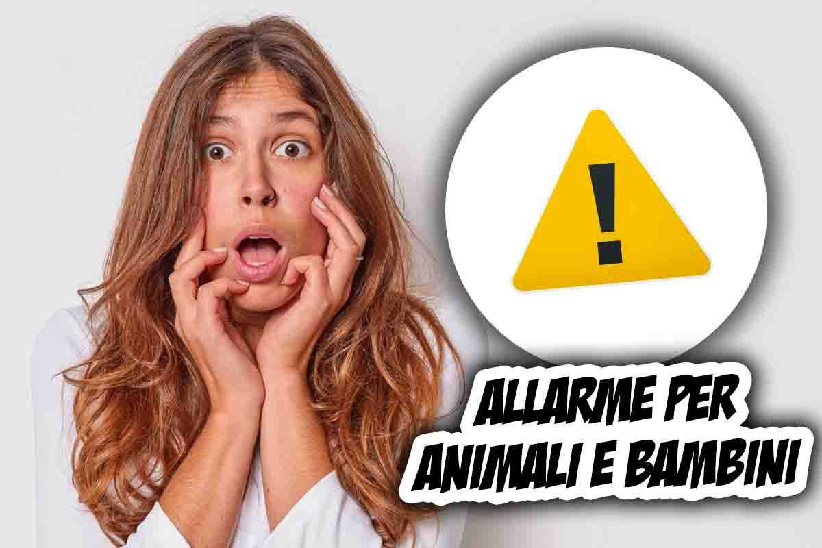 Allarme per bambini e animali: ecco cosa sta accadendo