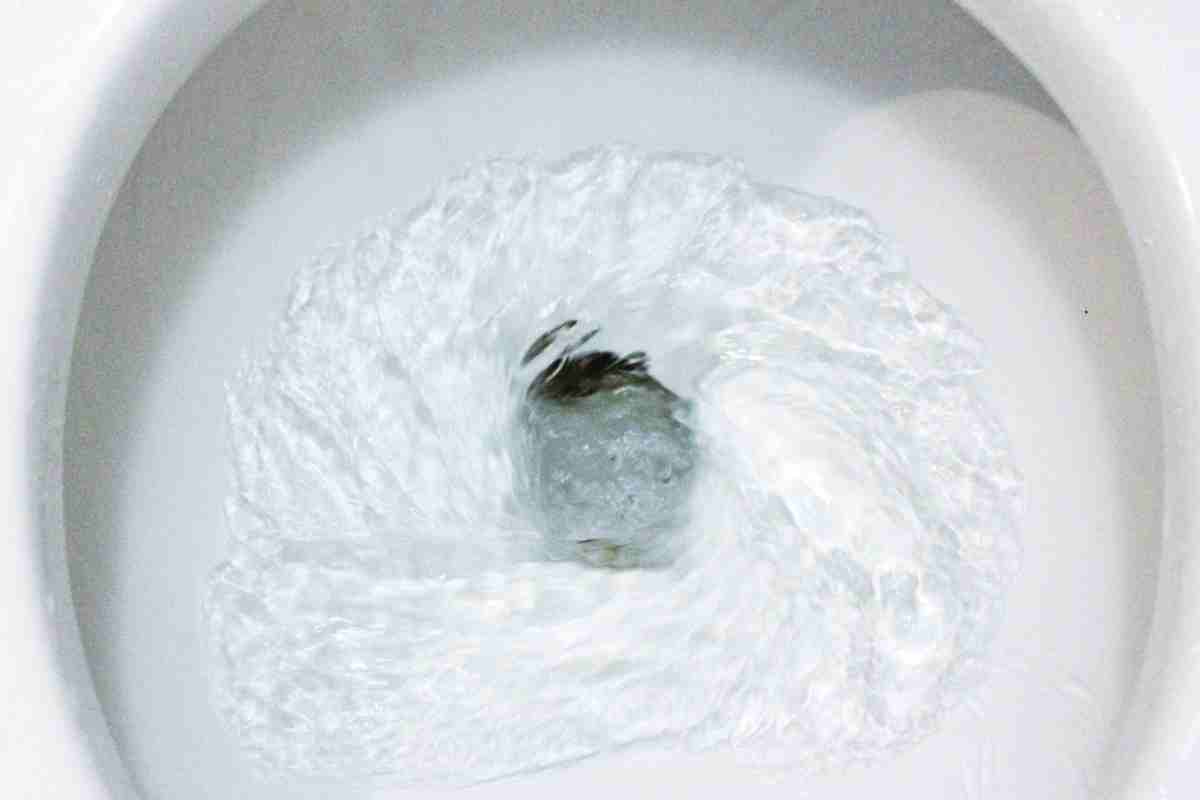 Lievito Birra pulire WC: come funziona