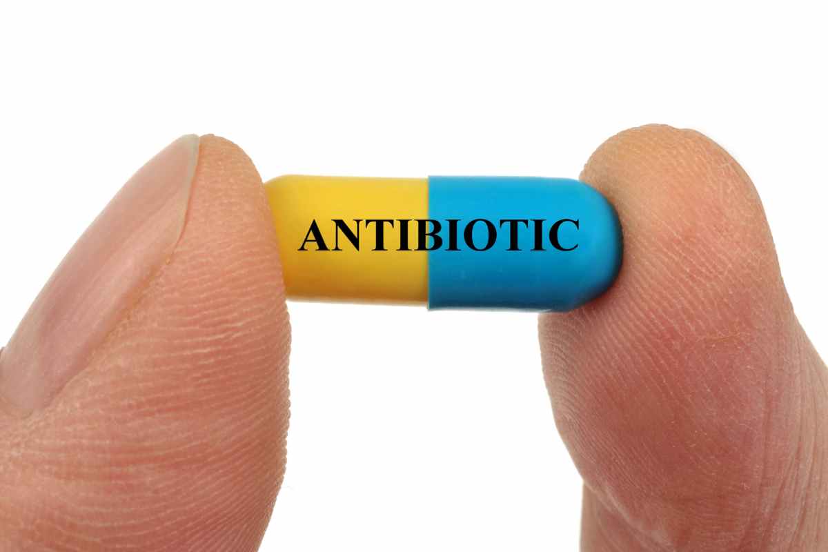 Interrompere antibiotico rischi