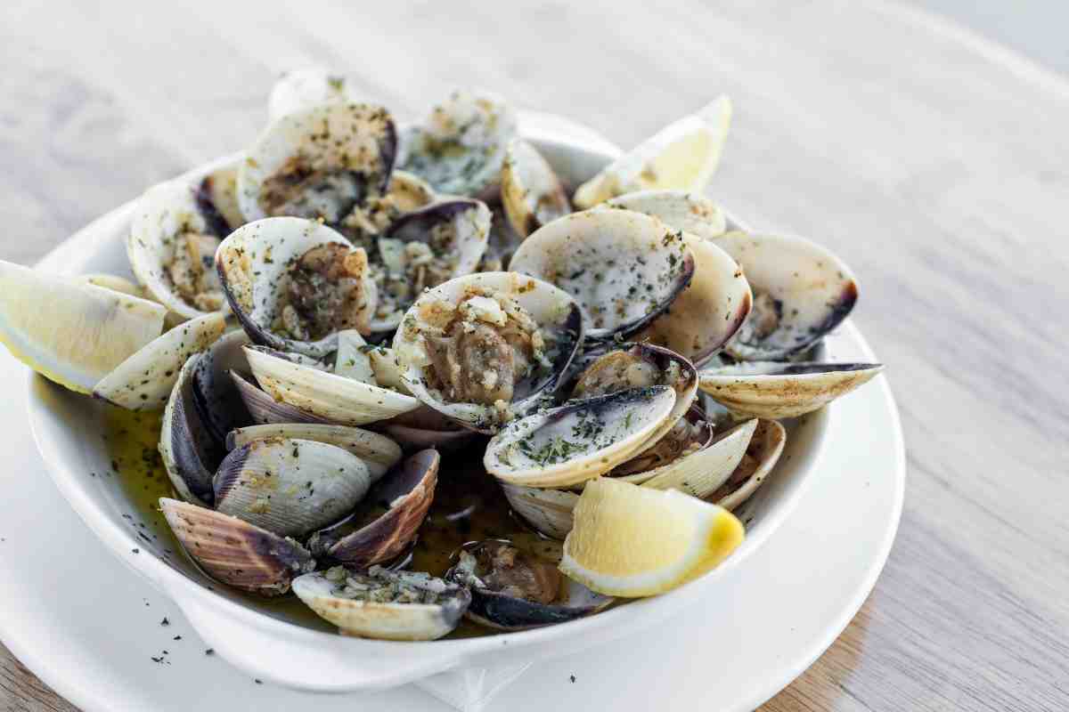 Vongole ritirate per presenza oltre i limiti di Escherichia Coli